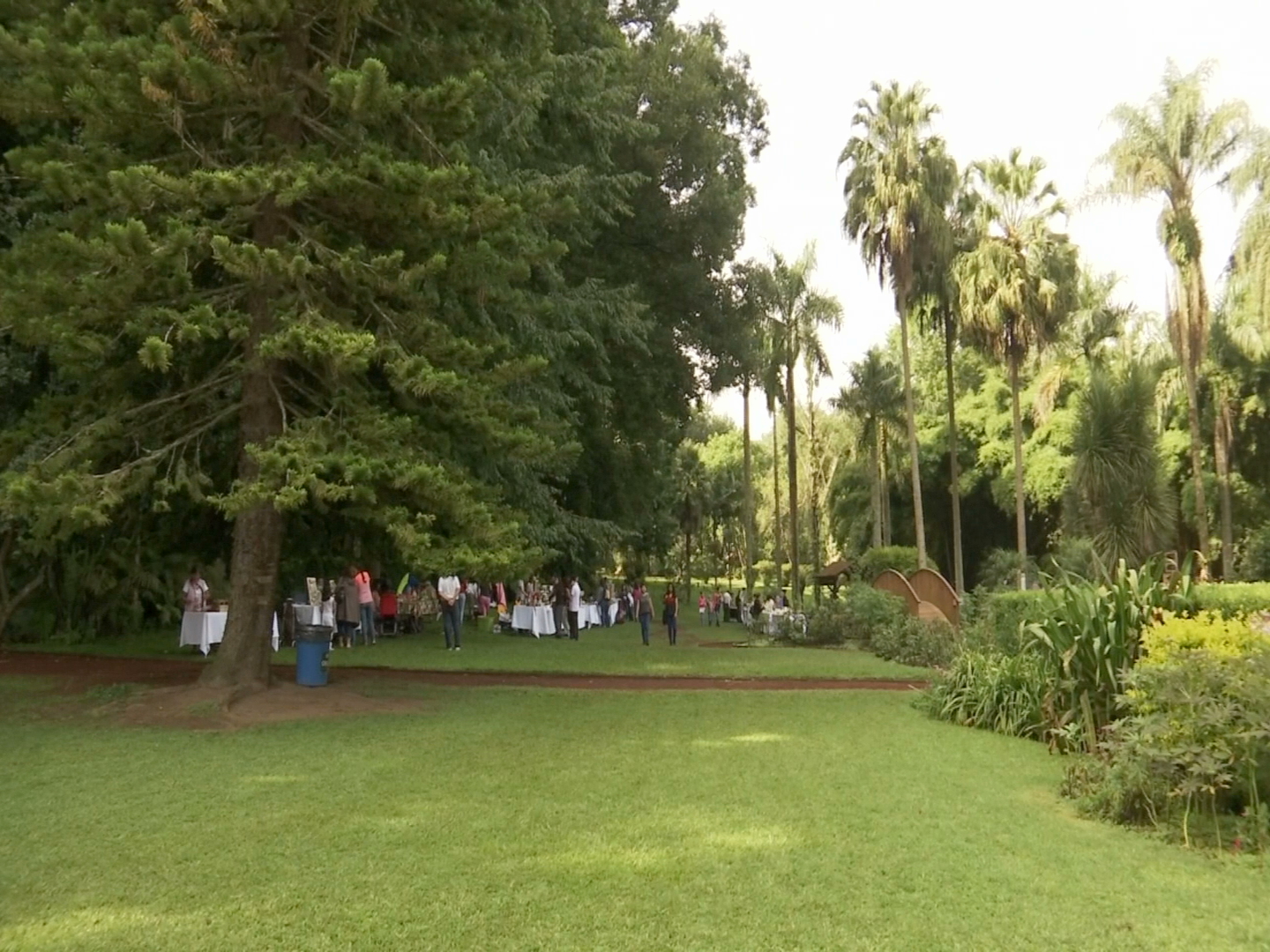 Próxima semana reabrirían jardín botánico y el santuario del Bosque de Niebla: Inecol
