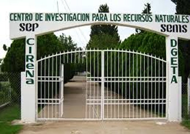 Asigna SEP direcciones y plazas docentes de educación tecnológica agropecuaria