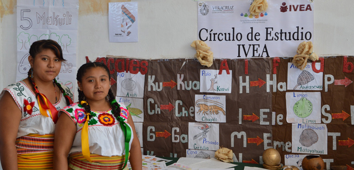 En Veracruz, la educación indígena va más allá de la alfabetización: IVEA