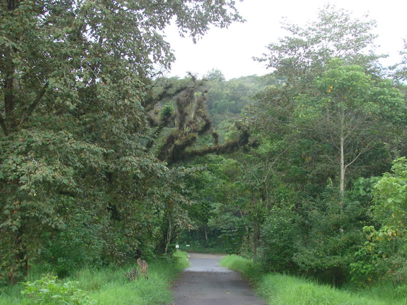 Cierran acceso al parque Natura en Xalapa