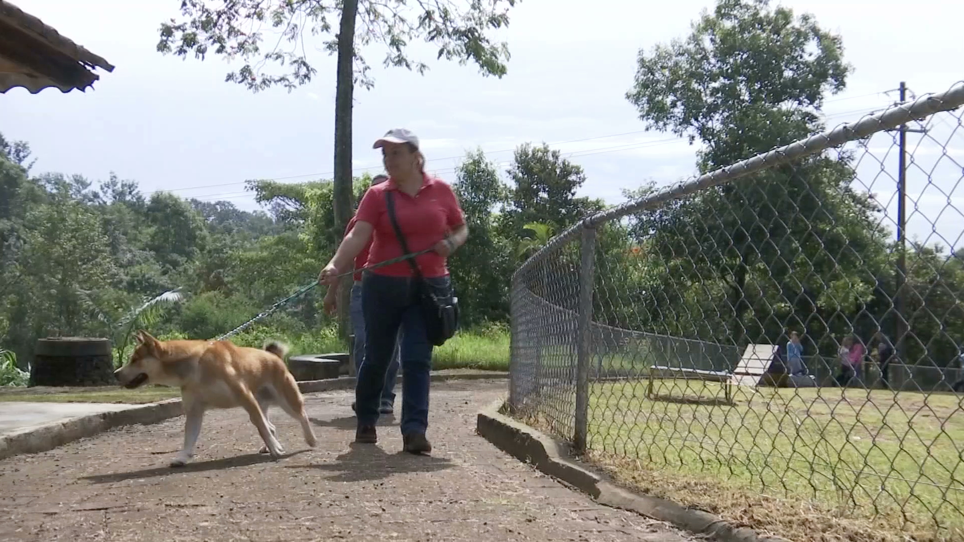 Recreación de mascotas aumenta a especies nativas en parques de Xalapa