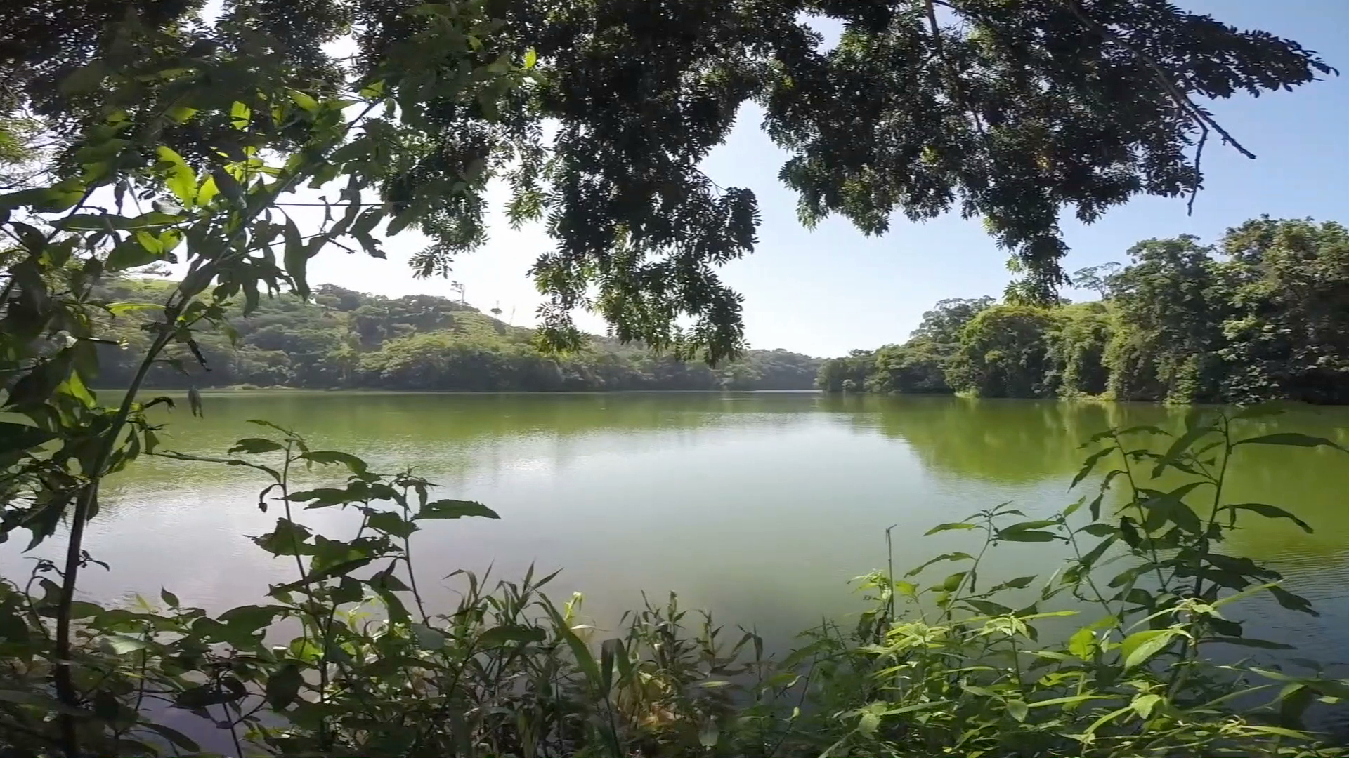 Con ecoturismo campesino buscan mitigar daño ambiental en la selva de Los Tuxtlas
