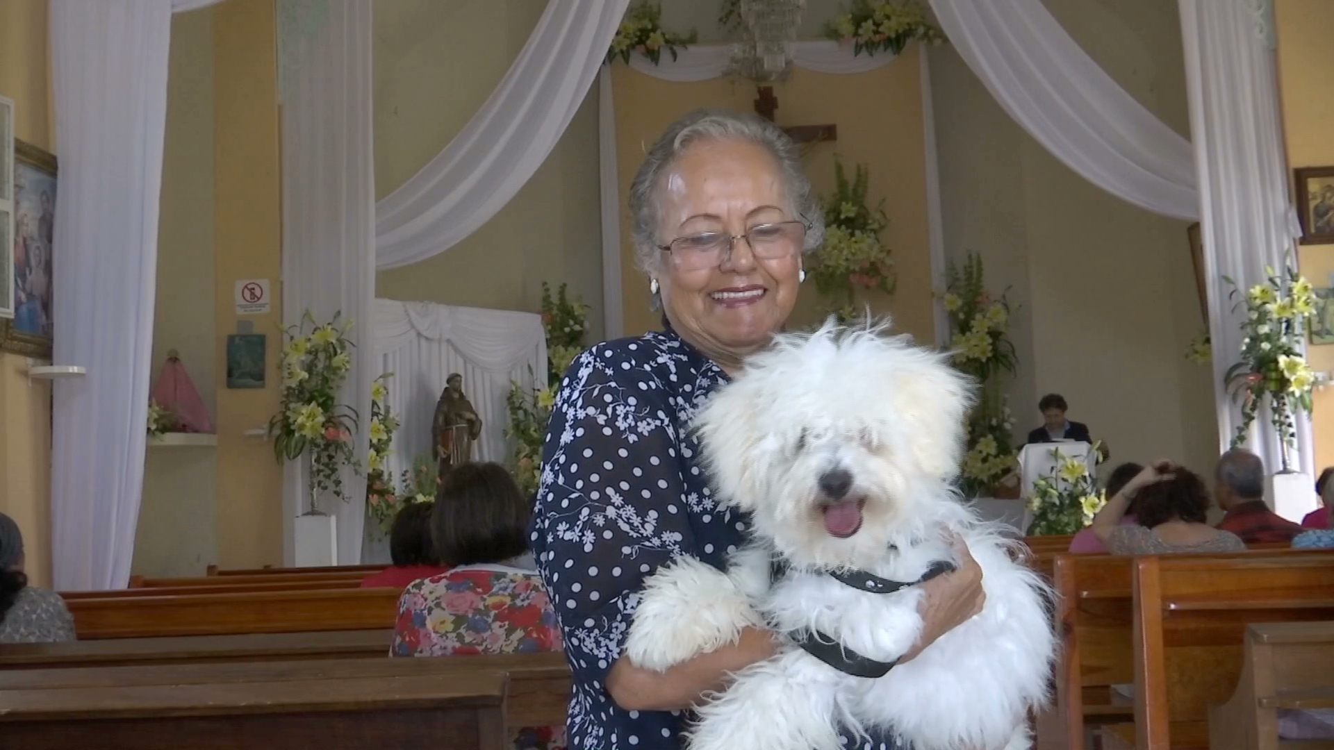 Bendicen mascotas en honor a San Francisco de Asís