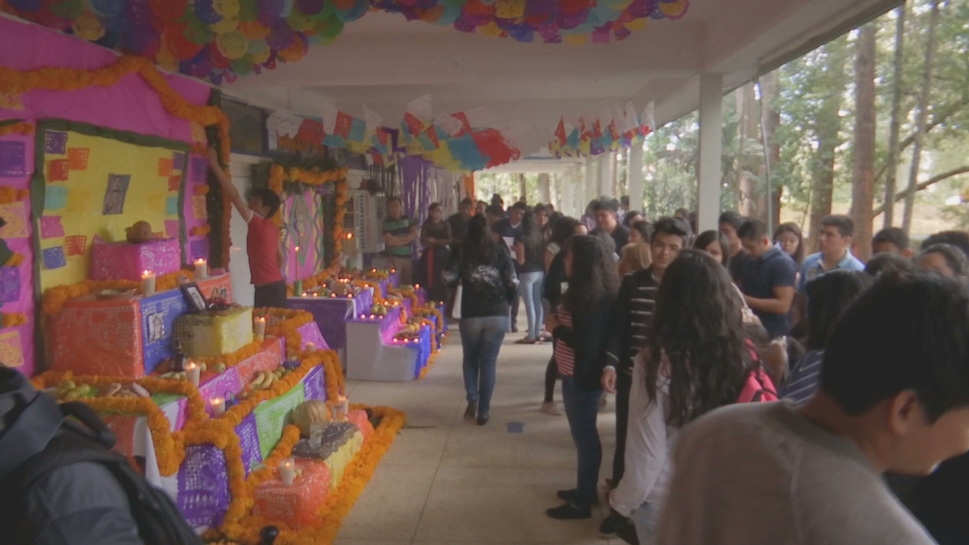 Concursos de altares de la UV preservan tradiciones