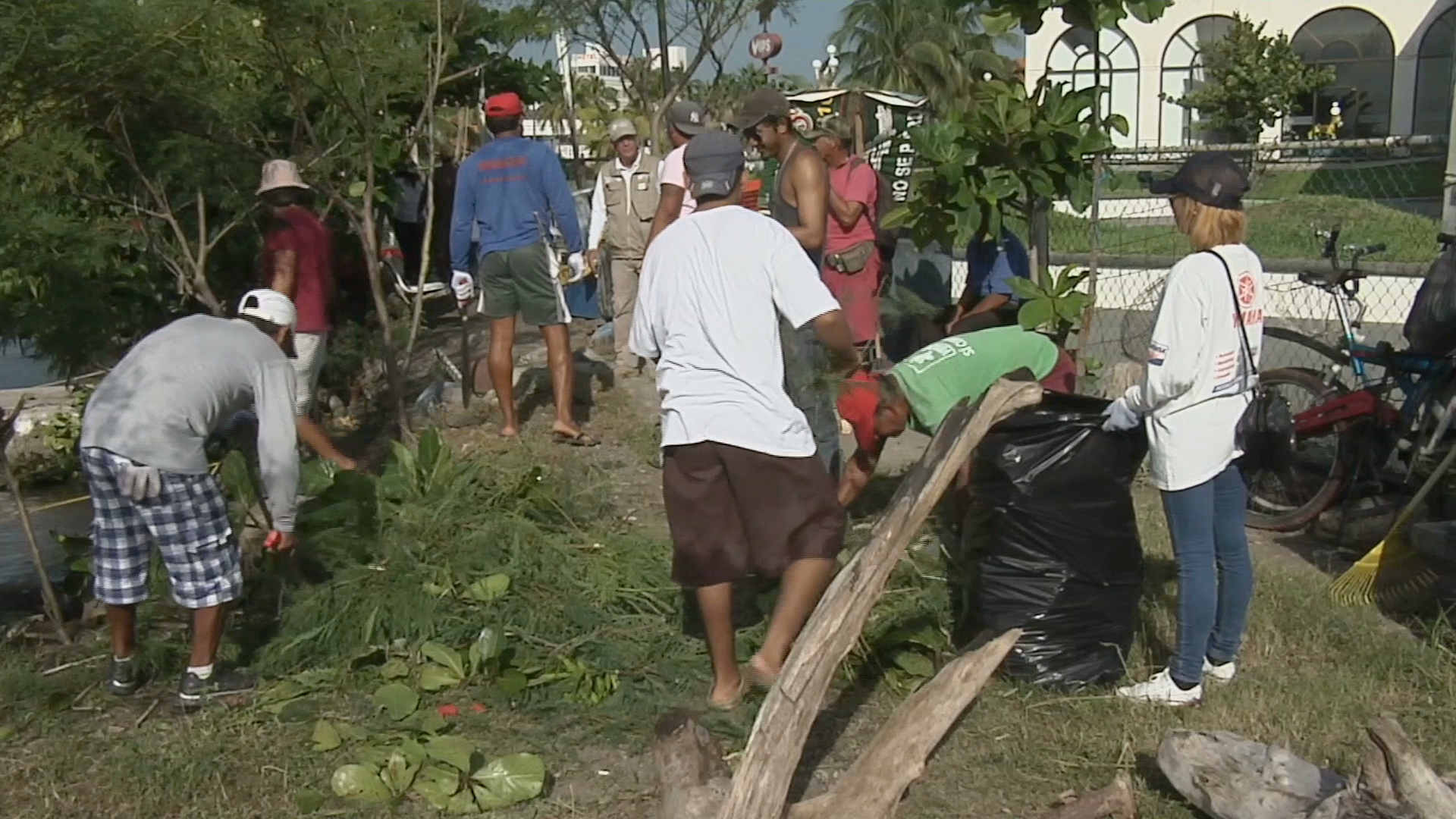 Emplean a lancheros de recorridos turísticos para labores de limpieza en el Parque Nacional Sistema Arrecifal Veracruzano