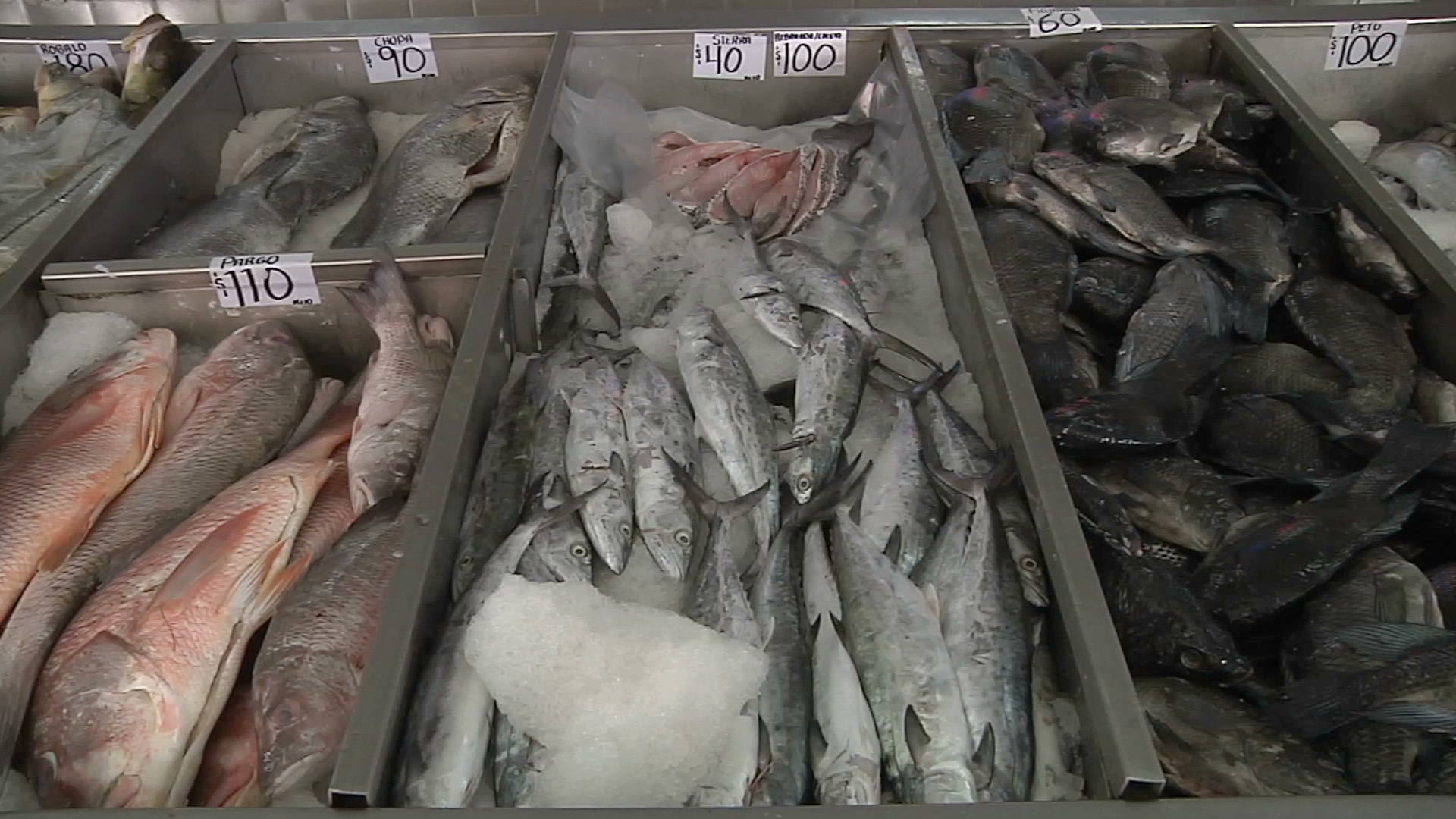 Repunta venta de pescados y mariscos por la Cuaresma