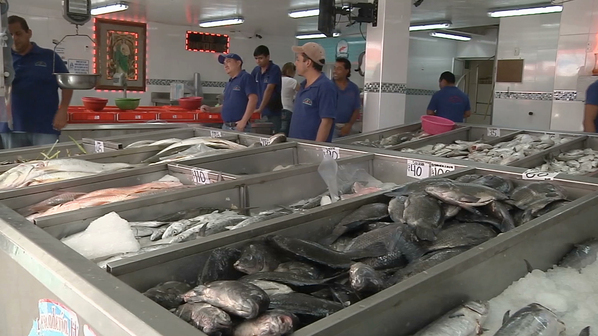 Disminuyen ventas en mercado de pescadería de Veracruz