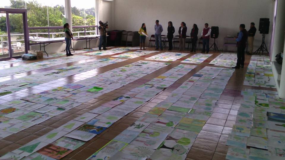 Califican dibujos del Concurso Nacional “Vamos a pintar un árbol”