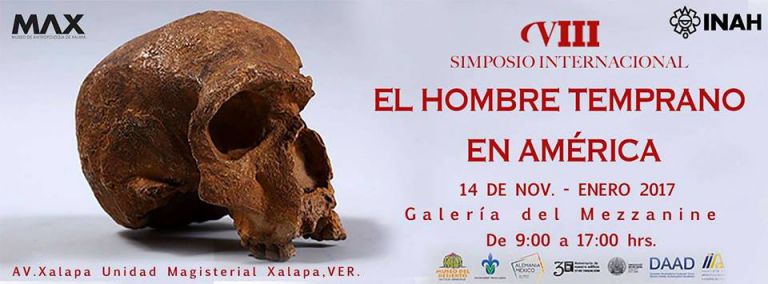 Mandíbulas, cráneos y esqueletos en la exposición “Pasos de la evolución humana”