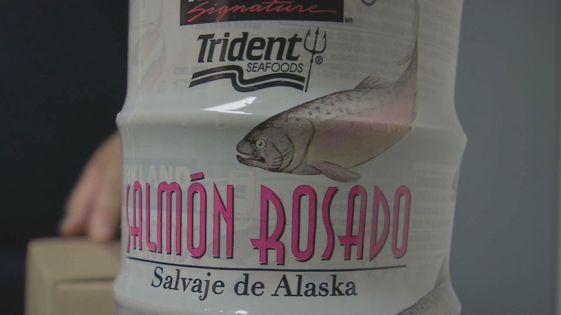 Buscan incluir el salmón en la dieta de los niños