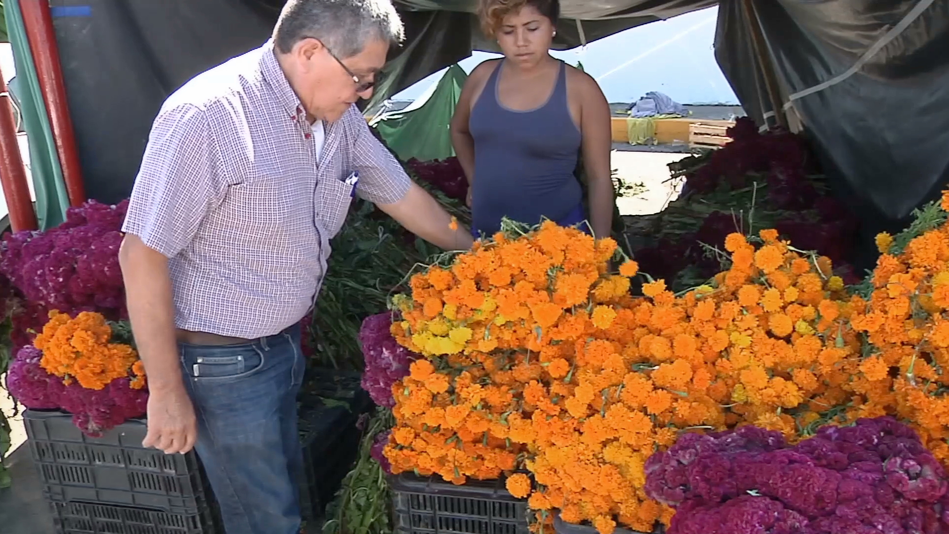 Cayeron ventas de Día de Muertos en Veracruz