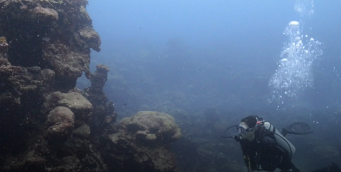 Se cuantifican los daños del encallamiento del buque Antares en arrecifes de Tuxpan