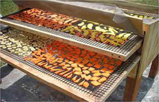 UGCOP operará para el 2017 plantas deshidratadoras de frutas en Cosamaloapan y Chacaltianguis