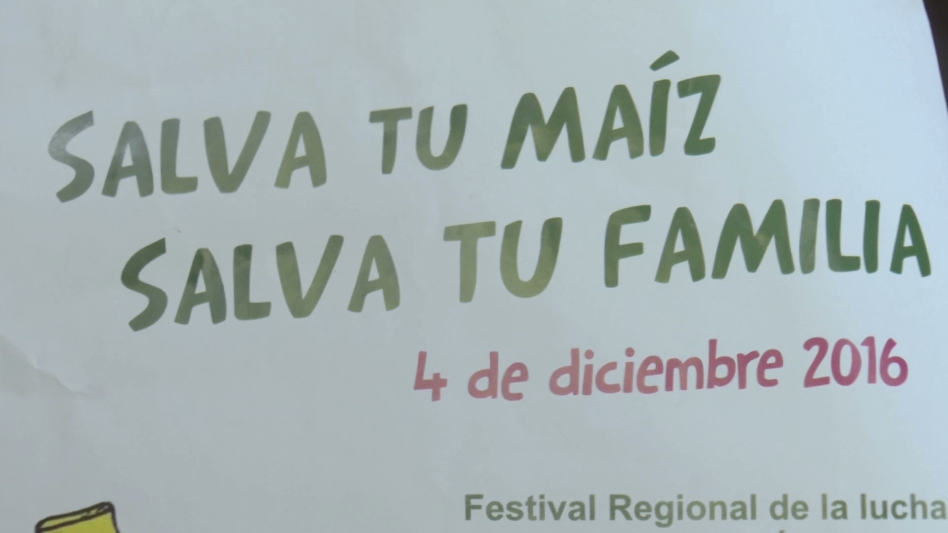 Invitan al Festival Regional contra agrotóxicos “Salva tu maíz, salva tu familia”