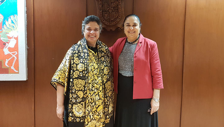 Embajadora destaca papel de grupos artísticos y exposiciones de la UV en Brasil