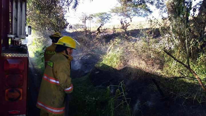 Bomberos Xalapa sofocan incendio en carretera Xalapa- San Andrés Tlalnelhuayocan