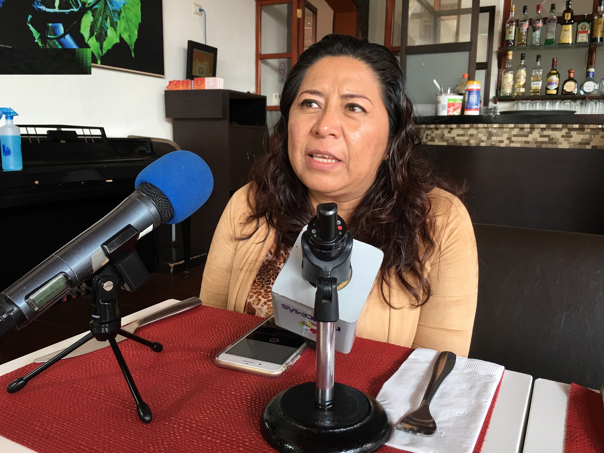Autoridades municipales, principales agresores de periodistas en Veracruz: CEAPP