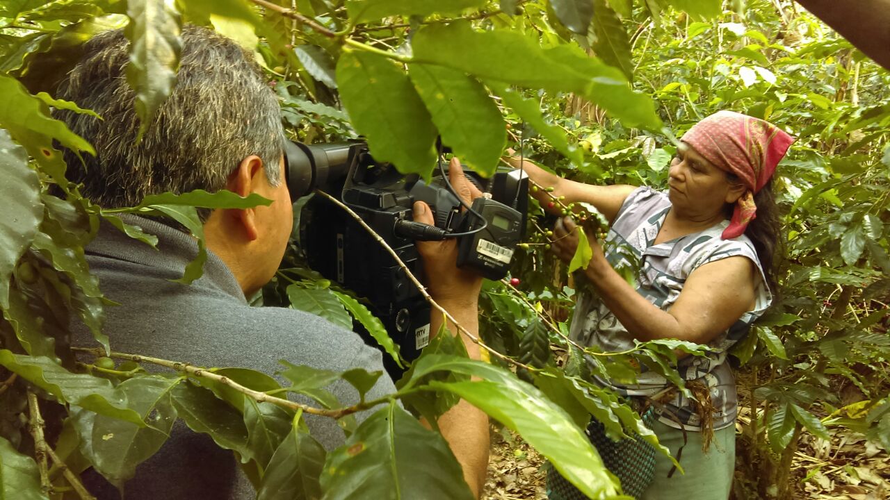 Burocracia retrasa apoyos al campo mexicano