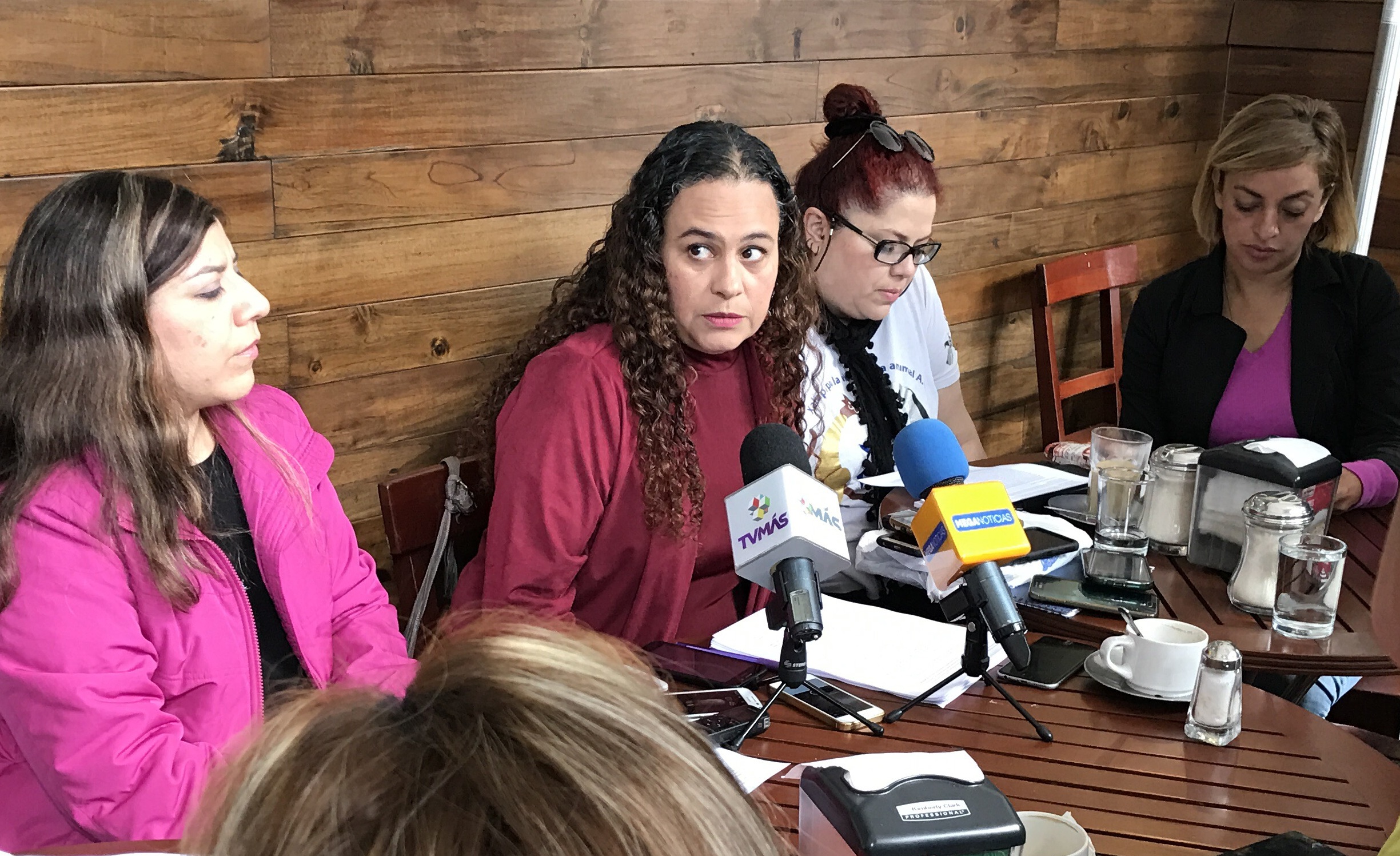 Activistas en desacuerdo con reforma de la Ley de Protección de los Animales