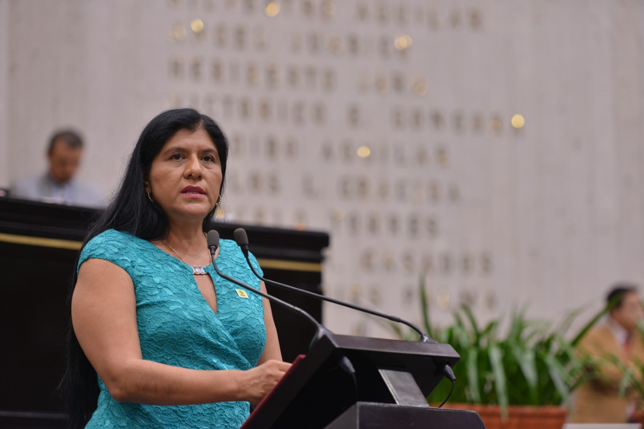 Negociaciones del TLC, importantes para el campo veracruzano: Yazmín Copete