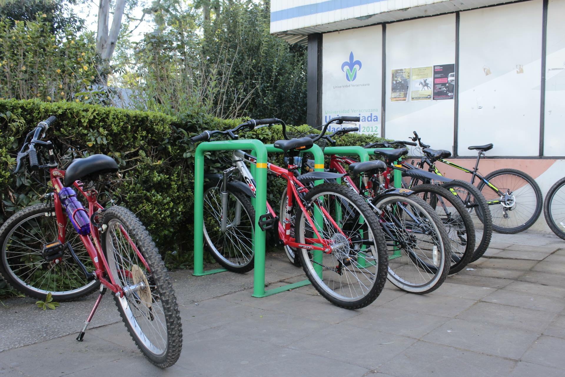 Cosustenta UV realiza el proyecto Cruces seguros