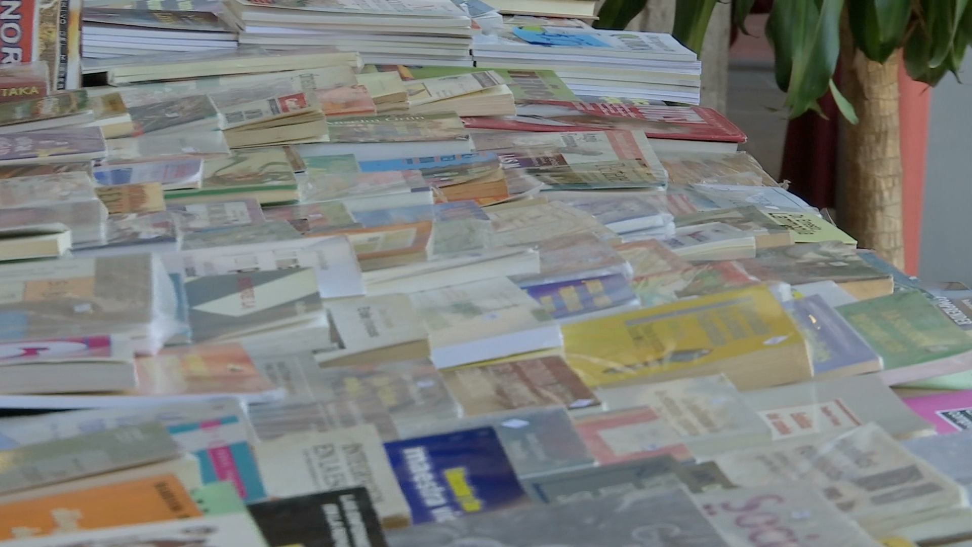 Libros firmados, tesoros para los lectores