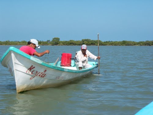 Crean pescadores la Unión Regional de Pesca y Acuacultura del Norte del estado Veracruz