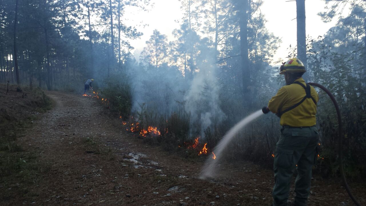Exhorta CONAFOR a ciudadanos a no hacer uso del fuego en zonas forestales