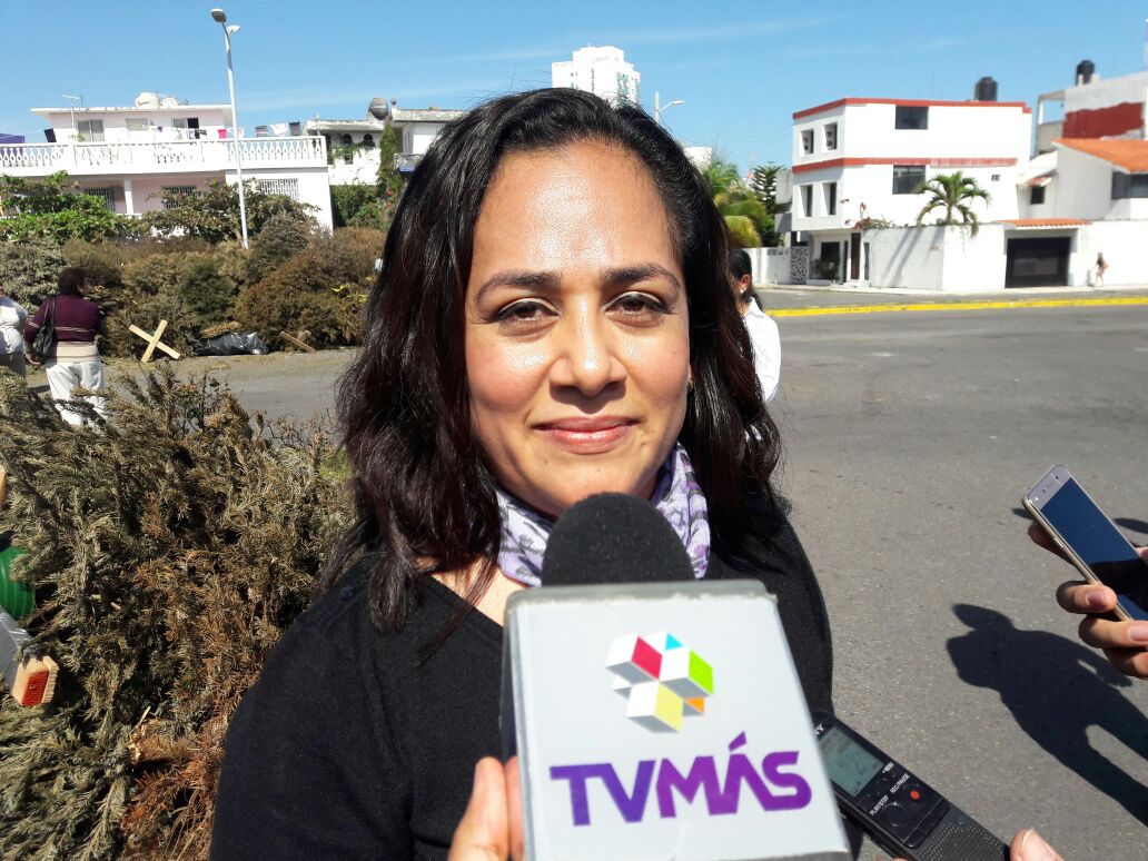 Escuelas sin afectaciones por actos vandálicos realizados en Veracruz