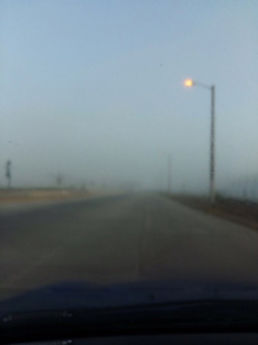 Intensa bruma en Coatzacoalcos impide funcionamiento de Ferri