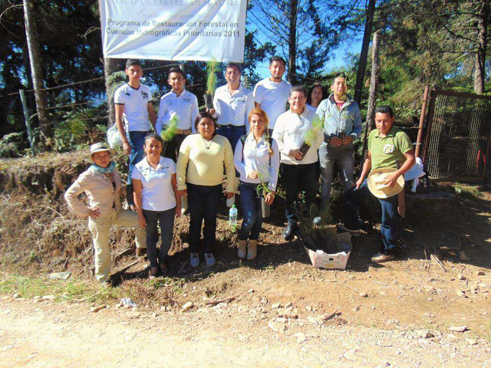 Se unen organizaciones civiles para reforestar