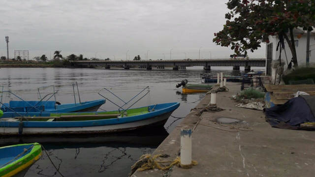 Lancheros de Boca del Río reportan pérdidas del 100% por FF 25