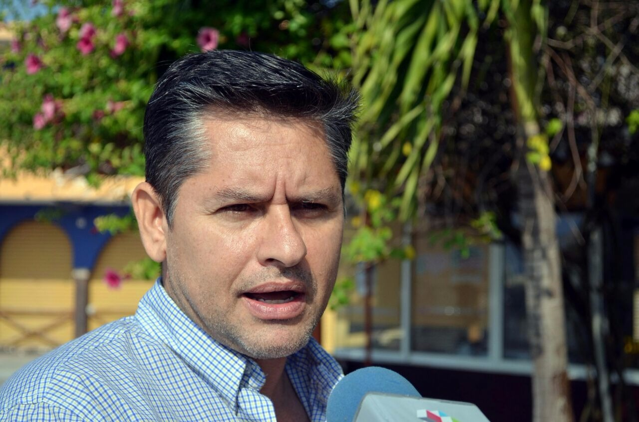 En Boca del Río se han recolectado ocho mil árboles de Navidad