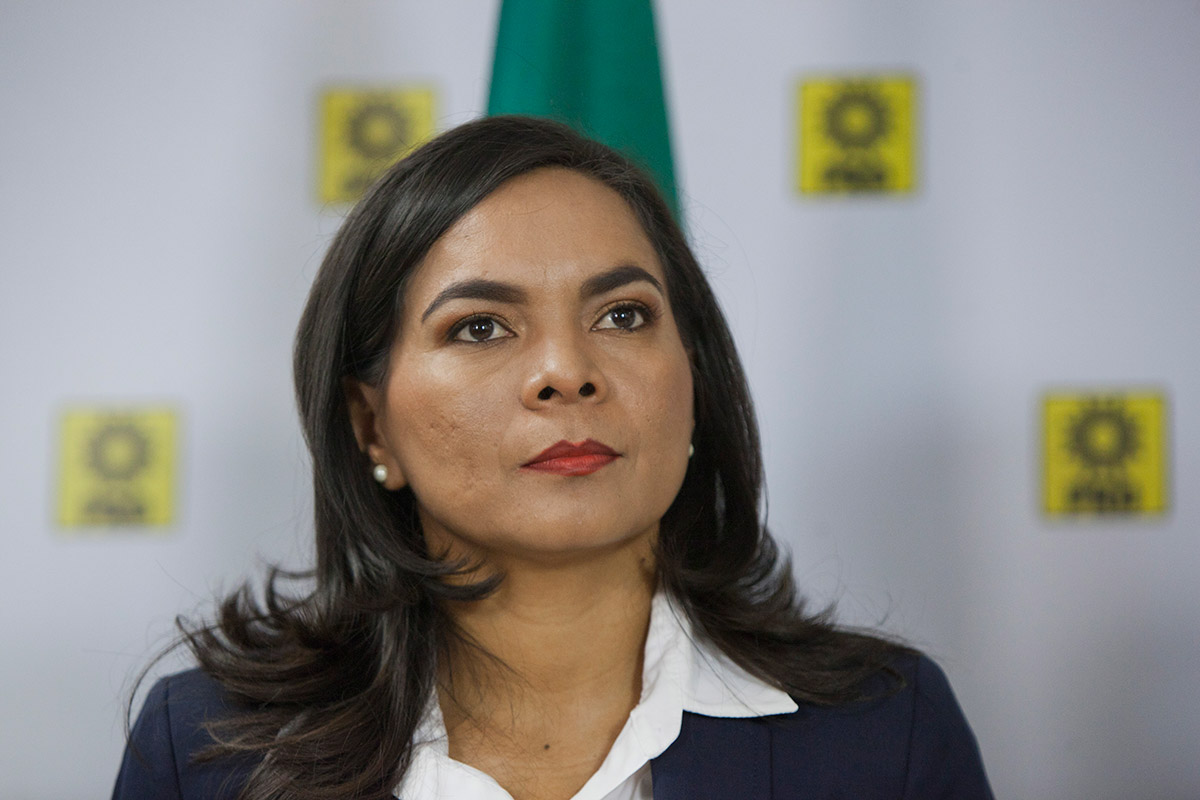 Acuerda PRD con demócratas estadounidenses detener política agresiva de Trump en contra de México: Beatriz Mojica