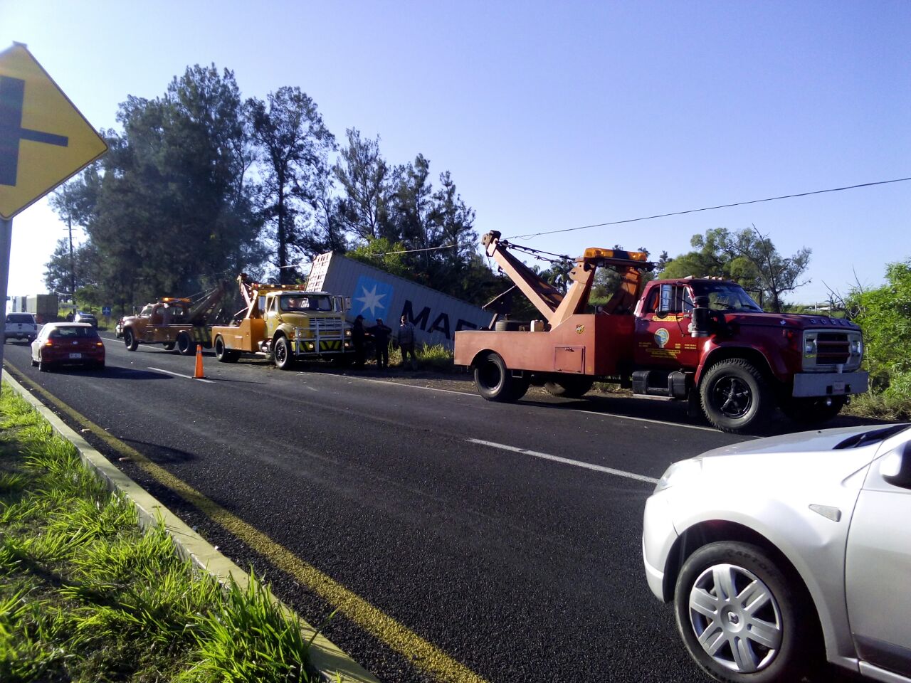 Al impactar a una vaca, tráiler sale de la carretera Xalapa-Veracruz