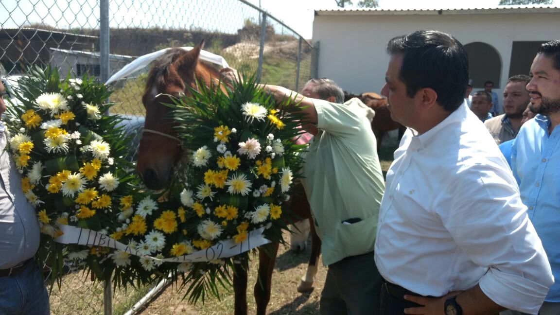Entregan 13 motocarros más para sustituir a caballos carretoneros en Xalapa