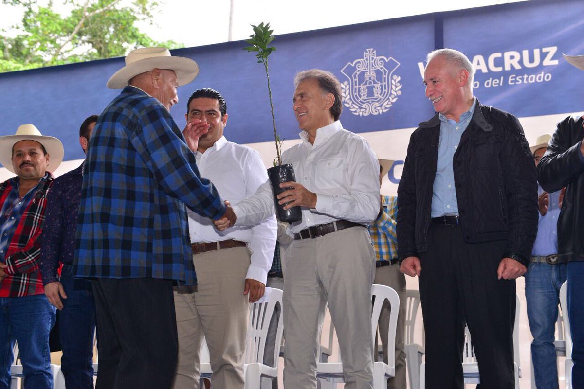 Reitera el gobernador Yunes apoyo a citricultores