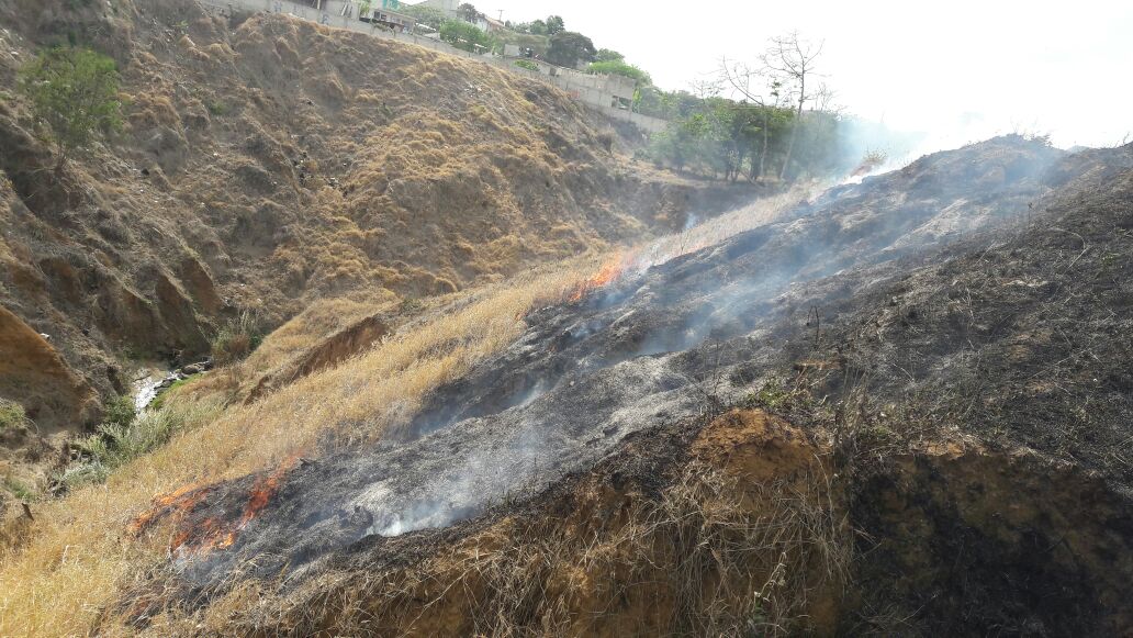 Atiende PC incendio forestal en Arco Sur
