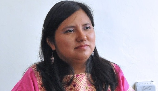 Aveli lanzará página web