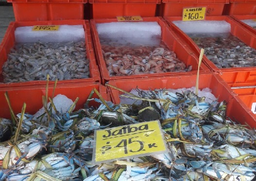 Mariscos incrementan en 30 por ciento