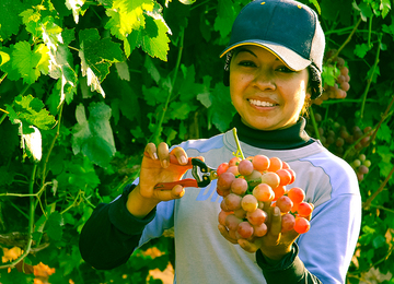 ONU Mujeres pugna por una distribución justa del trabajo en el hogar