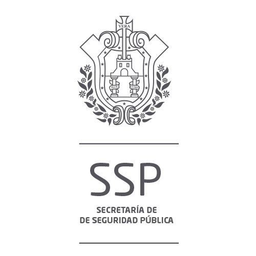 Detiene SSP a presuntos integrantes de grupo delincuencial