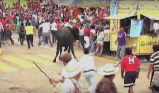 Activistas por Derechos de Animales solicitan retirar fuero a alcalde de Tlacotalpan