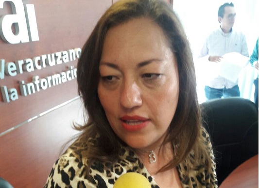 En Veracruz hay resistencia para conformar Sistema Nacional Anticorrupción: IVAI