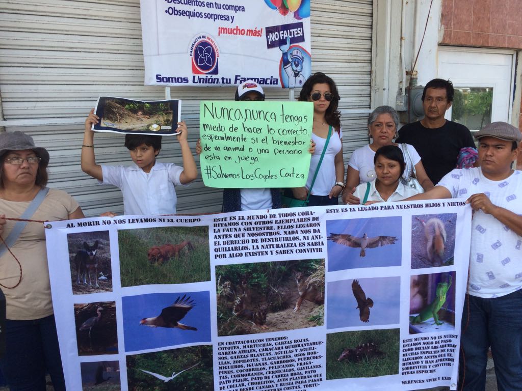 Ambientalistas de Coatzacoalcos exigen detener la devastación de dunas