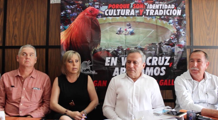 Asociaciones de galleros interpondrán amparo en contra de la ley que prohíbe peleas de gallos en Veracruz