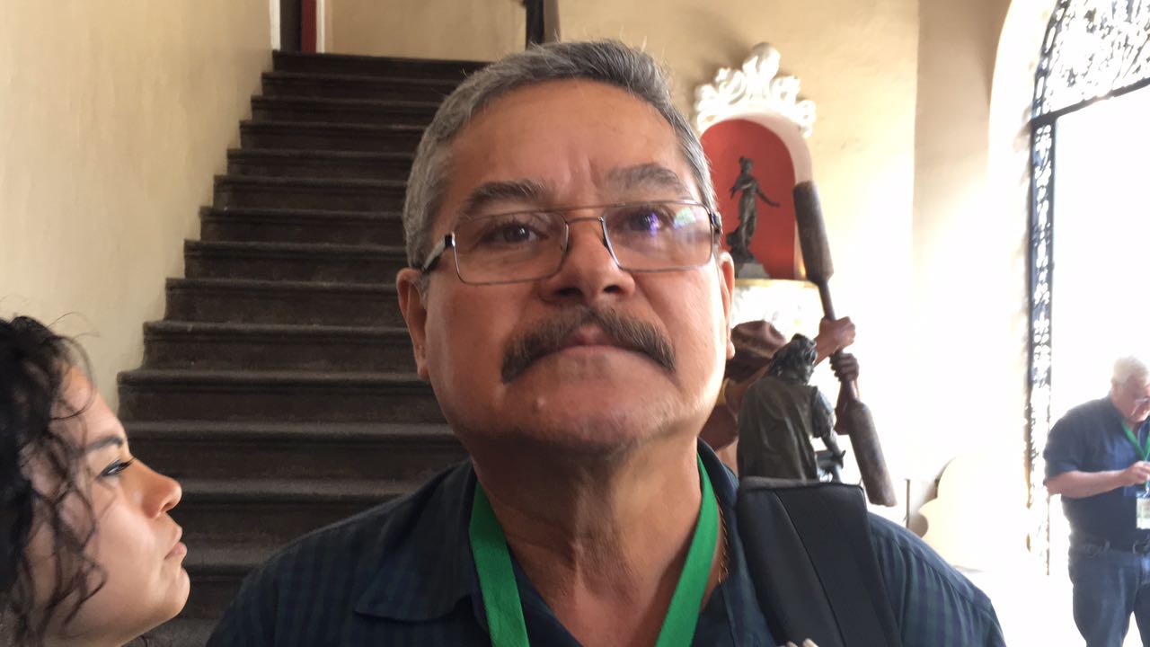 Veracruz empieza con renovación de fincas cafetaleras: Amecafe