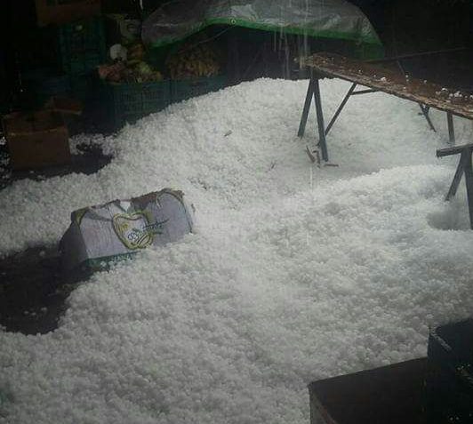 Seis municipios afectados por granizada en zona de Coscomatepec