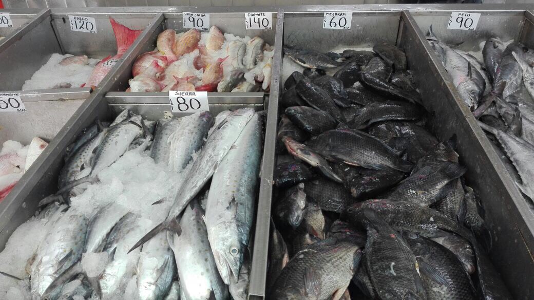 Con la cuaresma, comerciantes de mariscos prevén un incremento en ventas del 85%