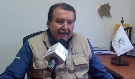 Conafor firmará convenio con La Perla, Perote y Huayacocotla para conformar brigadas de sanidad forestal